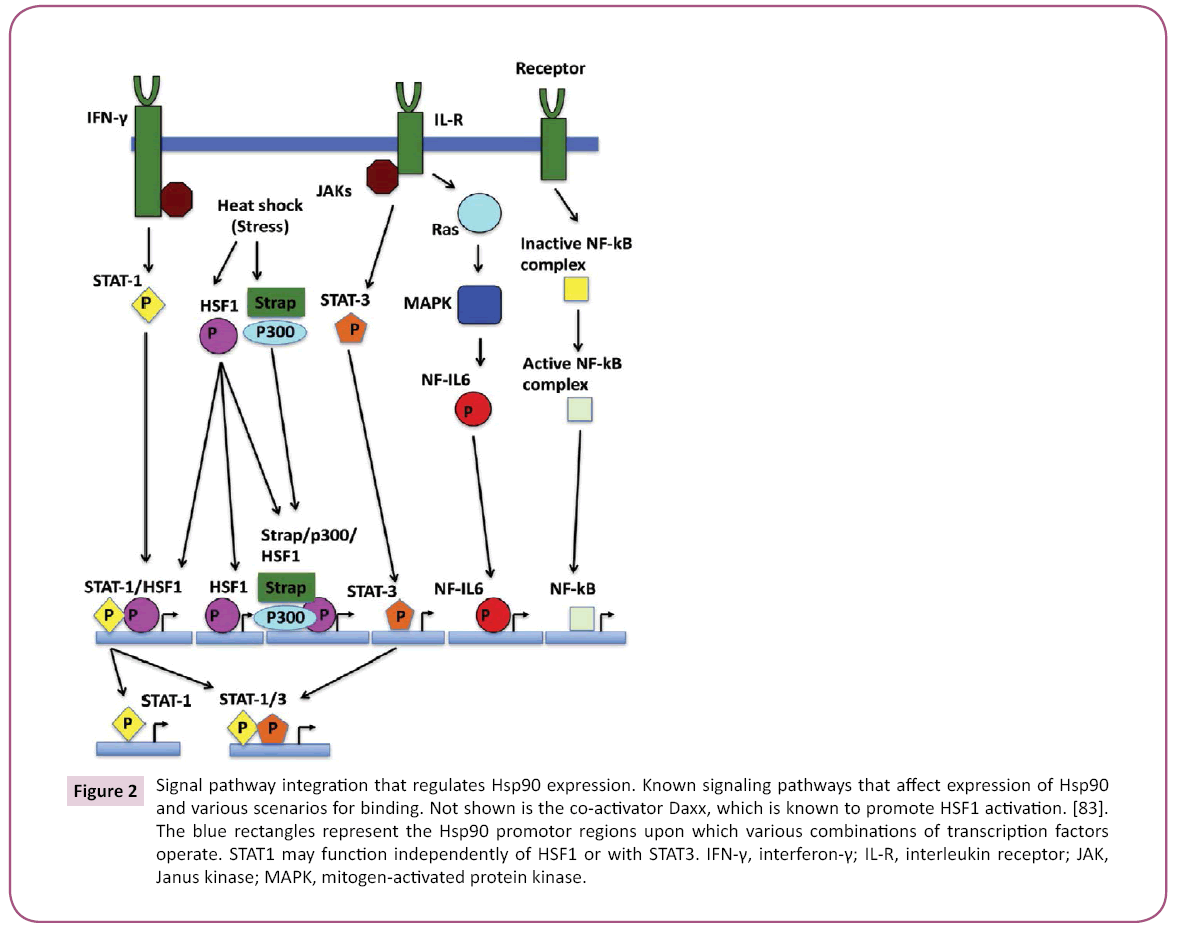 biochem-molbio-signaling-pathways